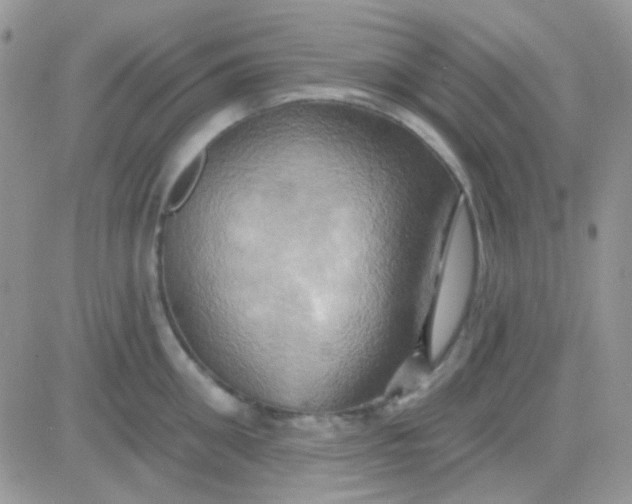 X0000081500906200701262116