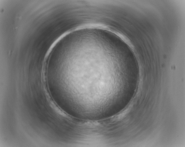 X0000081500912200701262116