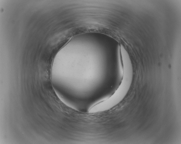 X0000081500916200701262115