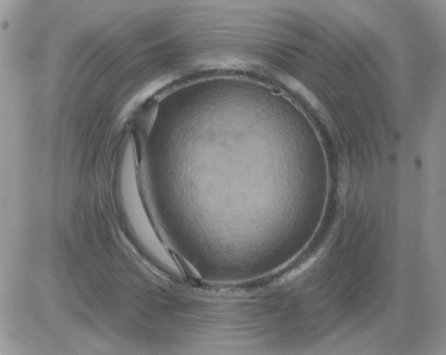 X0000081500922200701262115