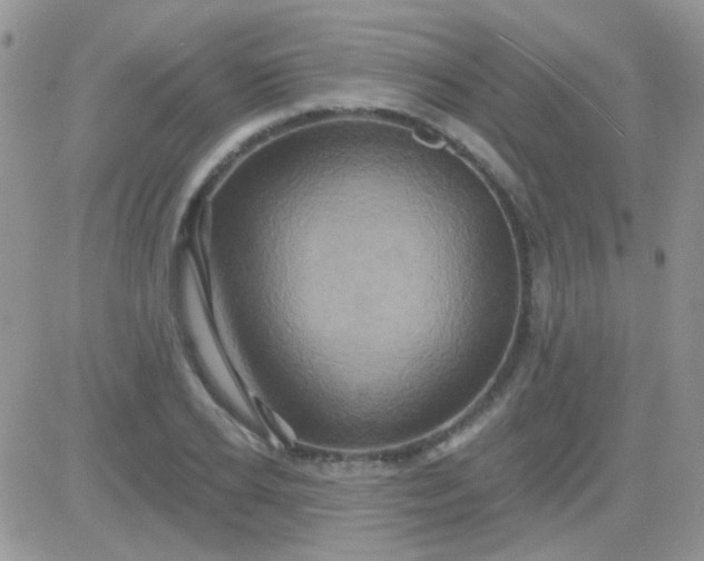 X0000081500934200701262115