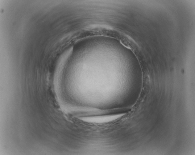 X0000081500965200701262115