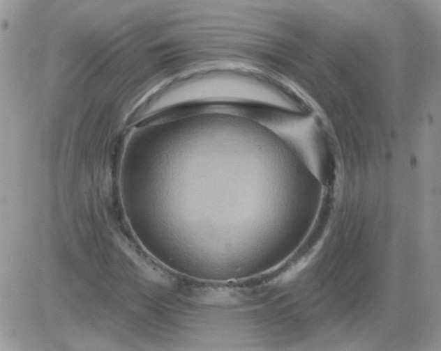 X0000081500969200701262115