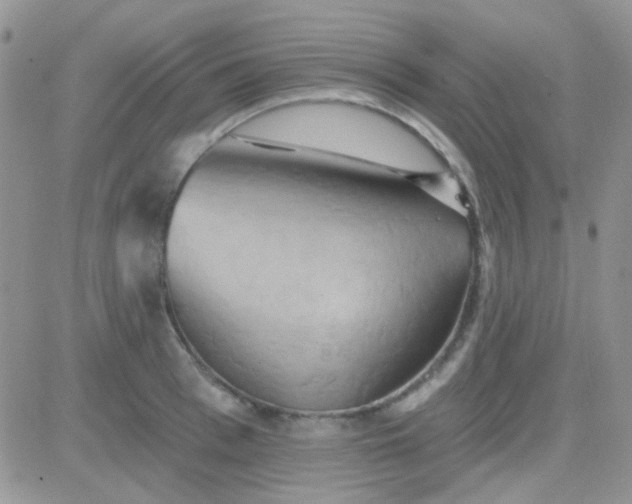 X0000081500993200701262114