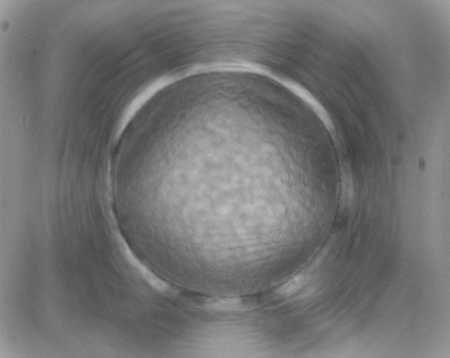 X0000081501006200701262114