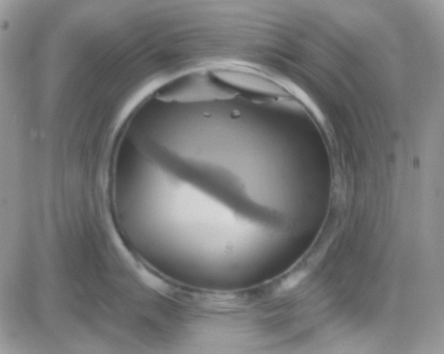 X0000081501007200701262114