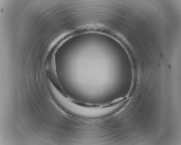 X0000081501018200701262113