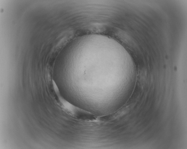 X0000081501058200701262113