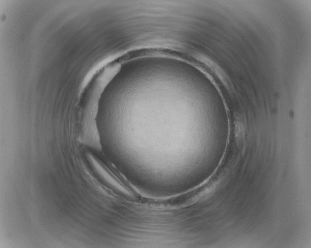 X0000081501069200701262113