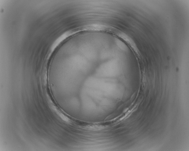 X0000081501083200701262113