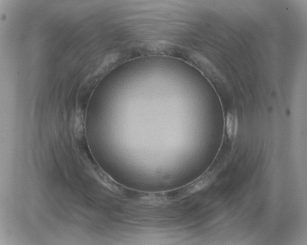 X0000081501107200701262112