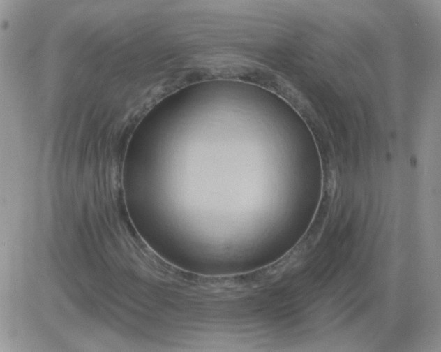 X0000081501108200701262112