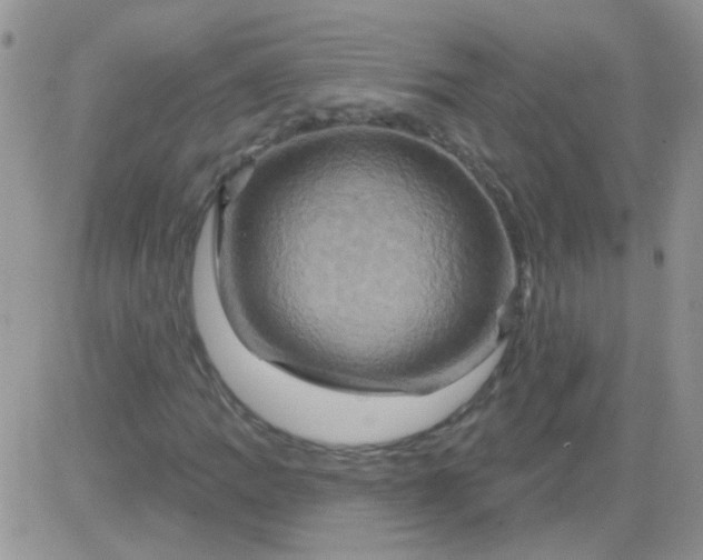 X0000081501109200701262112