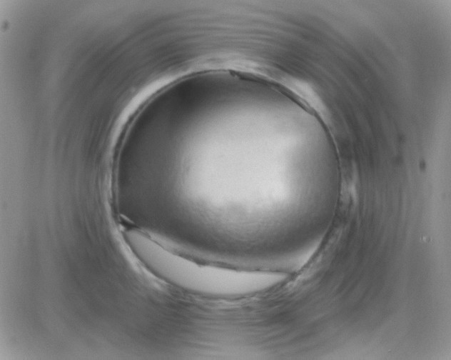 X0000081501144200701262112
