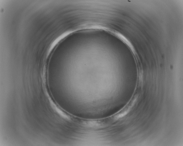 X0000081501149200701262112