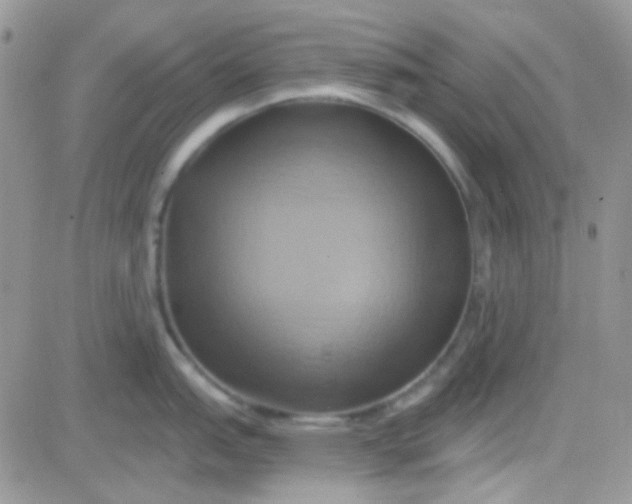 X0000081501151200701262112