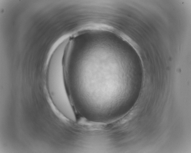 X0000081501152200701262112