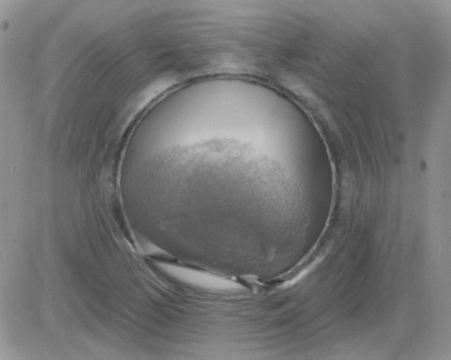 X0000081501170200701262111