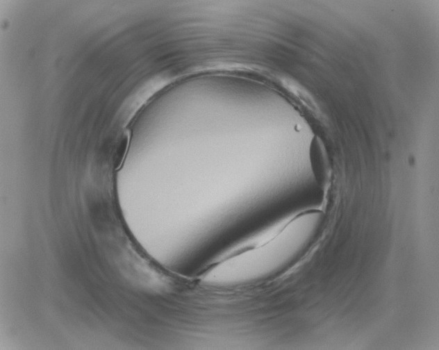 X0000081501177200701262111