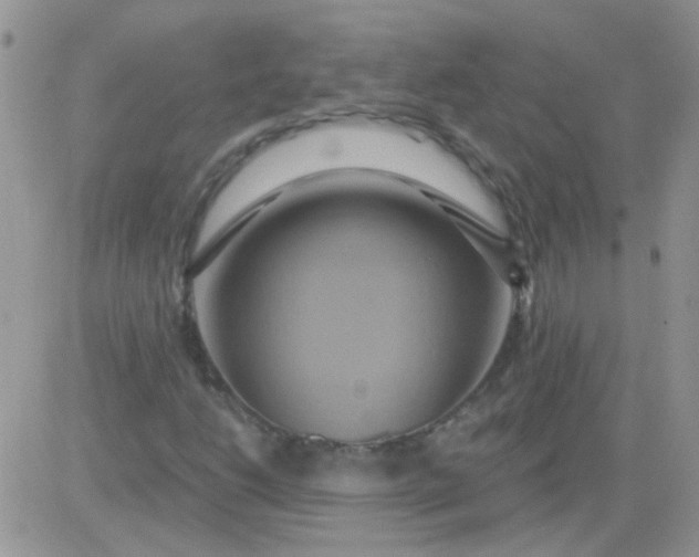 X0000081501206200701262110