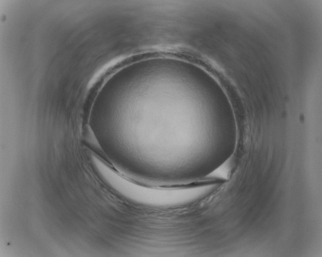 X0000081501214200701262110