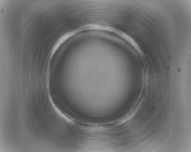 X0000081501247200701262111