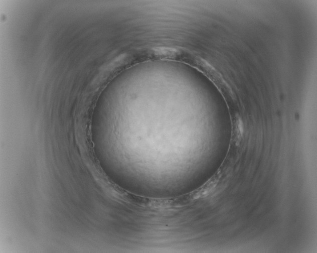 X0000081501249200701262110
