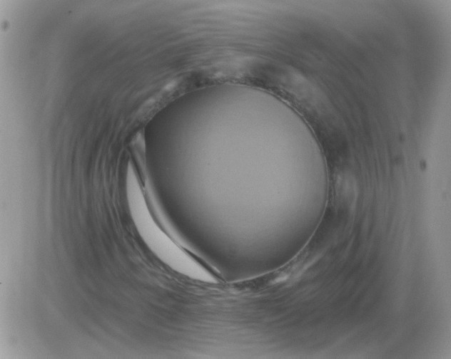 X0000081501250200701262110