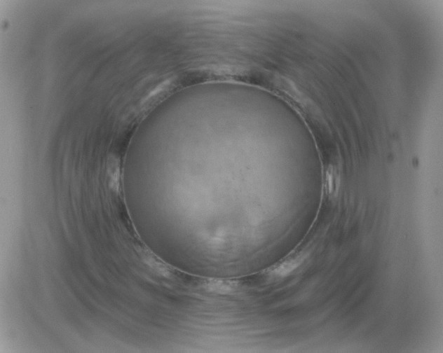 X0000081501251200701262110
