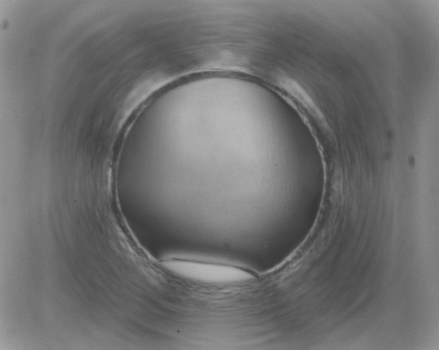 X0000081501268200701262110