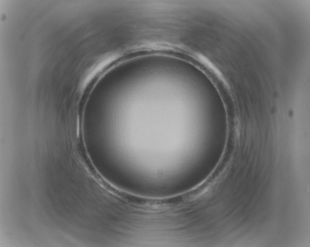 X0000081501269200701262110
