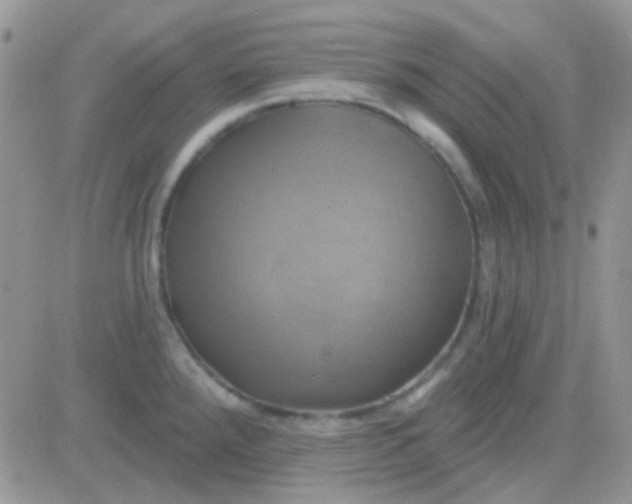 X0000081501288200701262109