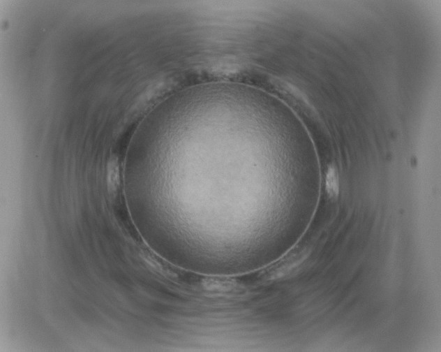 X0000081501299200701262108