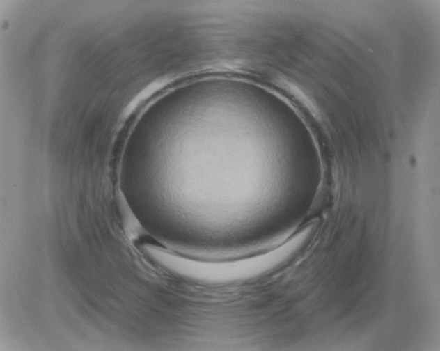 X0000081501308200701262109