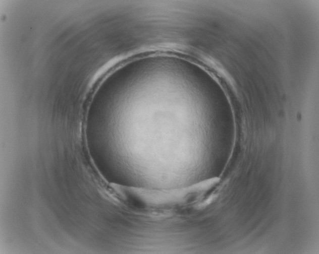 X0000081501316200701262109