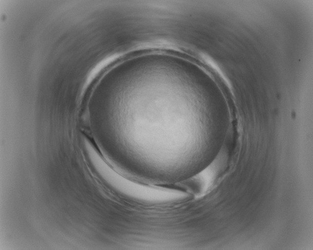 X0000081501320200701262109