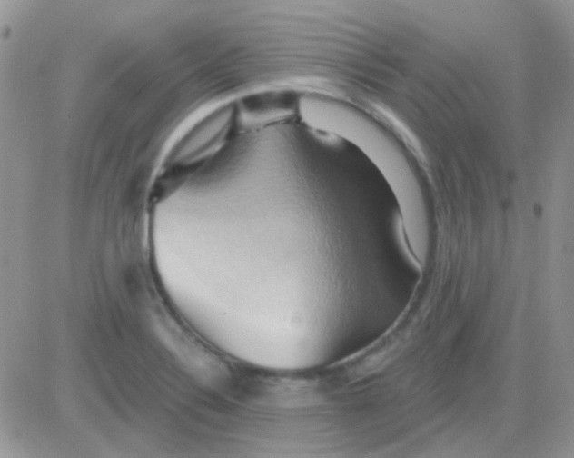 X0000081501324200701262109