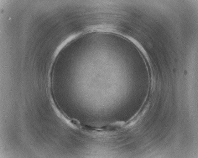 X0000081501341200701262109