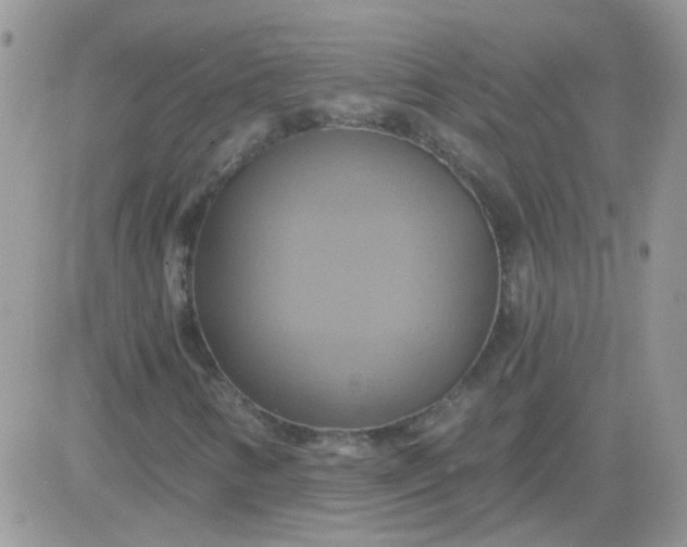 X0000081501346200701262108