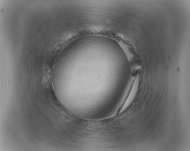 X0000081501349200701262108