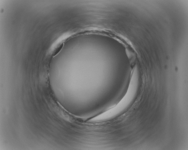X0000081501359200701262108