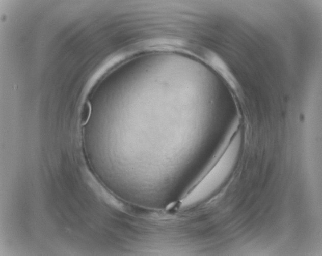 X0000081501384200701262108