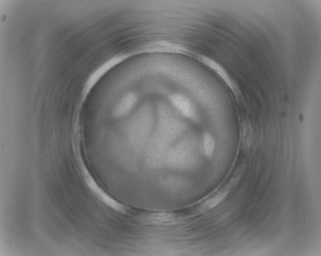 X0000081501387200701262108