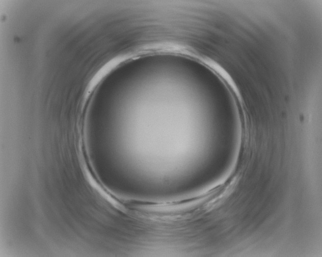 X0000081501389200701262108