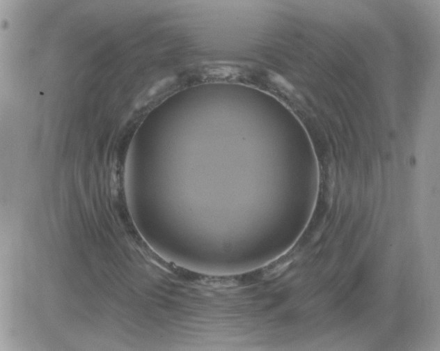 X0000081501394200701262107