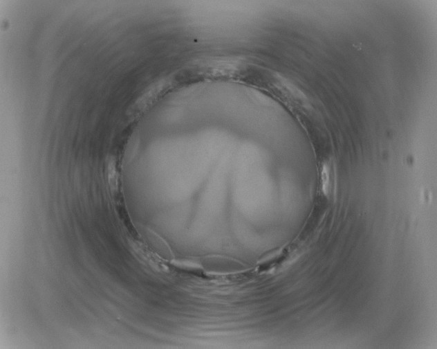 X0000081501395200701262107