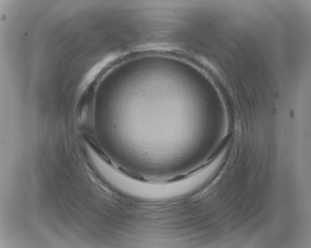 X0000081501406200701262107
