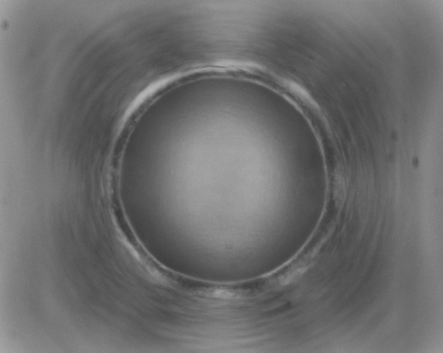 X0000081501412200701262107