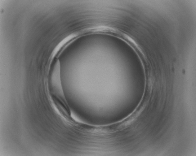X0000081501418200701262107