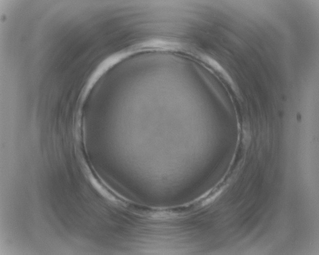 X0000081501421200701262107